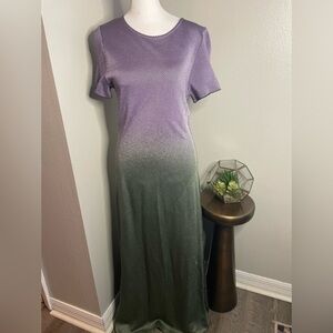 Anthropologie Aldo Martins ombré Knit Maxi Dress Women’s